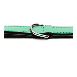 Hundhalsband Gloria Vadderad Grn (40 x 2 cm)