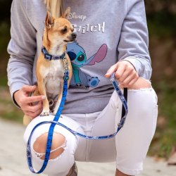 DoHundkoppel Stitch Gr Bl M