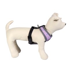 Hundsele Disney Gr
