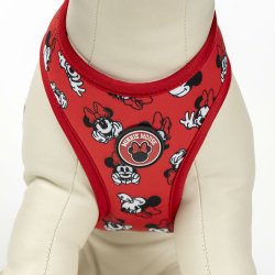 Hundsele Minnie Mouse XS/S Rd