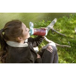Glasmixer Concept sm4002 Bl 315 w 600 ml