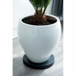 Blompall med hjul Nature Svart polypropen ( 29,2 x 4 cm)