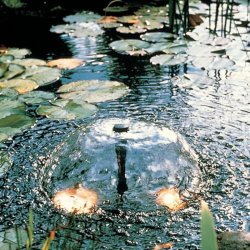 Vattenpump Ubbink Xtra 900