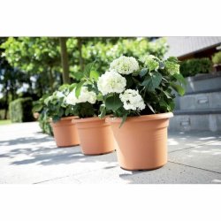 Kruka Elho   Rund Rosa Plast  30 cm
