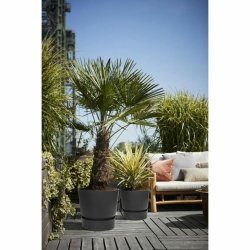 Kruka Elho Svart Plast Rund Modern  47 cm