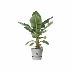 Kruka Elho Gr Plast Rund Modern  47 cm