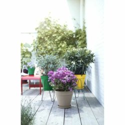 Kruka Elho Loft Urban 25 Gul  24,5 x 22,2 cm