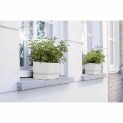 Blomlda Elho   Vit 70 cm Plast