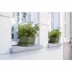 Blomlda Elho   50 cm Svart Plast