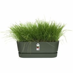 Blomlda Elho   50 cm Grn Plast