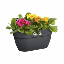 Hngande Ampelkruka Elho 3662603642500 Plast 24 x 36 x 26,5 cm