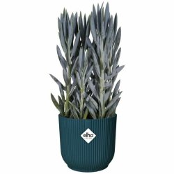 Kruka Elho    25 cm Rund Mrkbl Plast