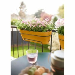 Blomlda Elho   50 cm Plast