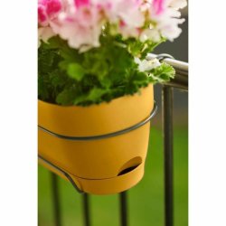 Blomlda Elho   50 cm Plast