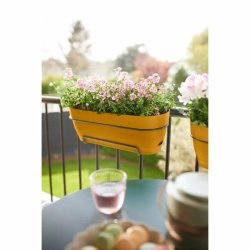 Blomlda Elho   50 cm Plast
