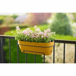 Blomlda Elho   50 cm Plast