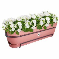 Blomlda Elho   70 cm Rosa Plast