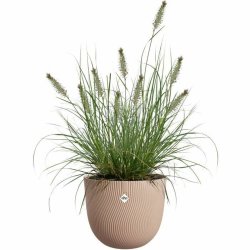 Kruka Elho Brun 30 x 29,5 x 25 cm