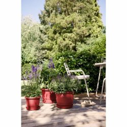 Kruka Elho rouge 35 x 34,5 x 26 cm