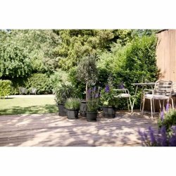 Kruka Elho Amiga Round 40 Svart Antracitgr 39 x 29 cm