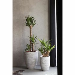 Kruka Capi Europe Elfenben Plast Rund