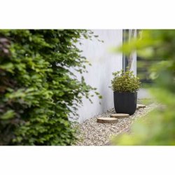 Kruka Capi Europe Svart Plast  43 cm