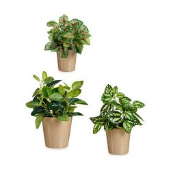 Krukset Ibergarden LINCE PQ - TOPO Beige Lera (6 antal)