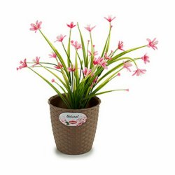 Kruka Stefanplast Brun Plast 14 x 13 x 14 cm (12 antal)