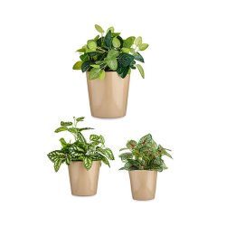 Krukset Ibergarden CONICO-1019 Beige Lera Cnica  14 cm  22 cm