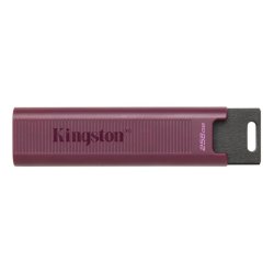 USB-minne Kingston DTMAXA/256GB 256 GB