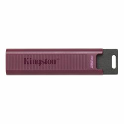 USB-minne   Kingston Max         Rd 256 GB