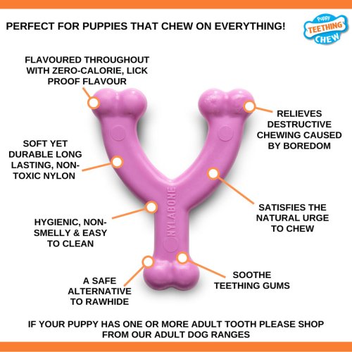 Tuggleksak fr hundar Nylabone WISHBONE Rosa Kyckling XS