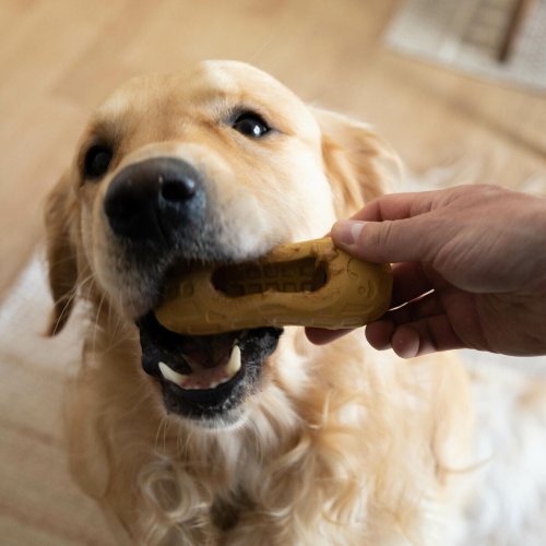Hundleksak Nylabone Brun Jordntssmr M