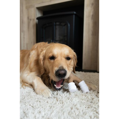 Hundleksak Nylabone Brun Jordntssmr L