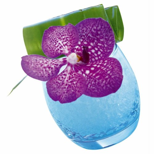 Glasset Arcoroc ACC_C9688 Transparent Glas 320 ml 6 Delar