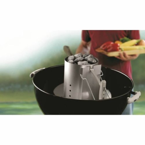 Tndgaller fr barbecue Weber 17631