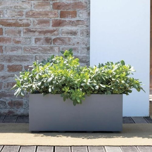 Sjlvvattnande planter Deroma Millennium R Gr Plast tervunnen