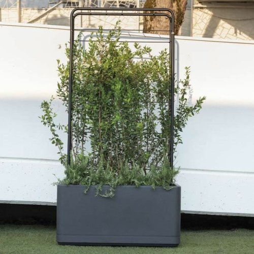 Sjlvvattnande planter Deroma Antracitgr 78 x 38 x 39 cm Plast