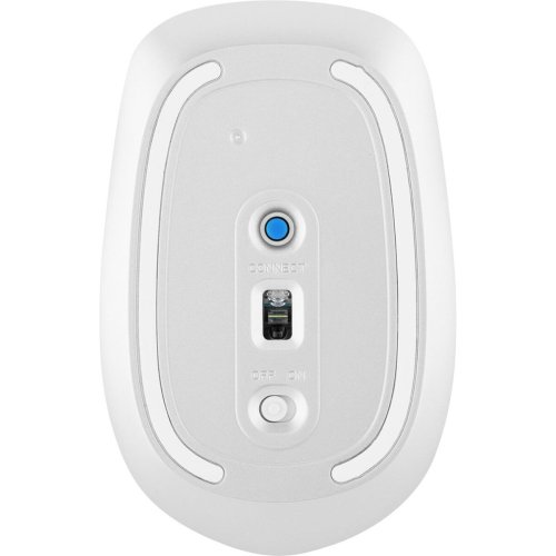 Trdls Mus HP 410 Vit