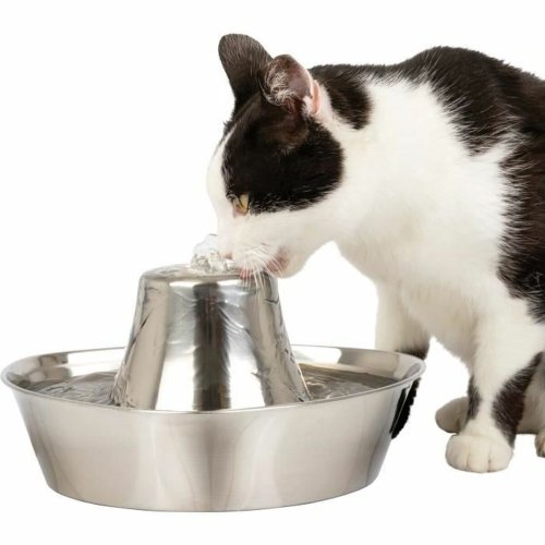 Hundmatare PetSafe Silvrig Rostfritt stl 1,8 L