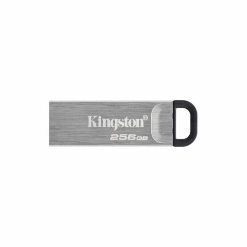 Minnessticka Kingston DTKN/256GB 256 GB USB 3.2 Svart 256 GB