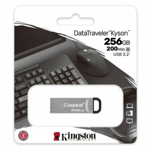 Minnessticka Kingston DTKN/256GB 256 GB USB 3.2 Svart 256 GB