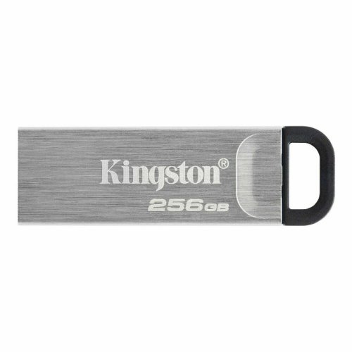 USB-minne Kingston Svart 256 GB