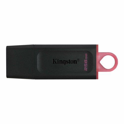 USB-minne Kingston DTX/256GB Nyckelkedja Svart 256 GB