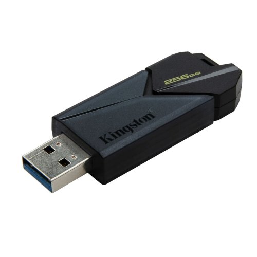 USB-minne Kingston DTXON/256GB 256 GB