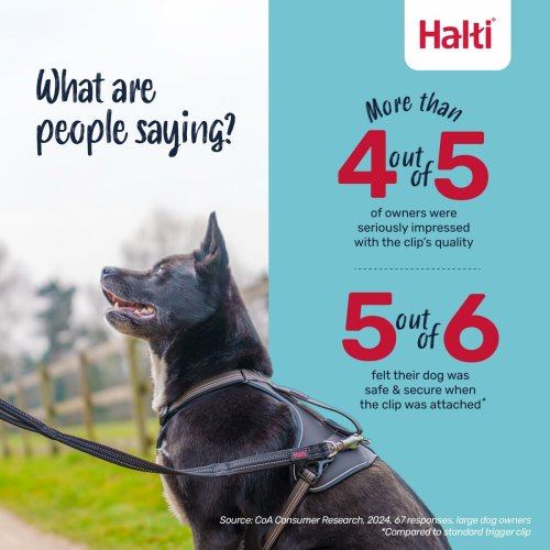 �vningskoppel Company of Animals HALTI BRIG SAFETY Svart