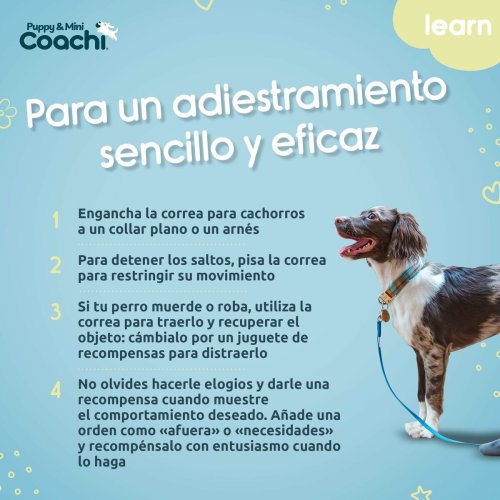 Hundsele Coachi