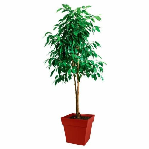Kruka EDA   Plast 39 cm