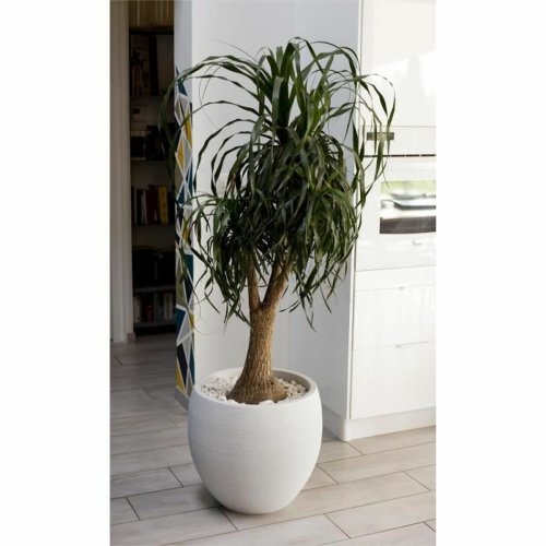 Kruka EDA Graphit Rund Vit  50 cm