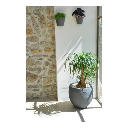 Kruka EDA Graphit Rund Plast Mrkgr ( 50 x 45 cm)